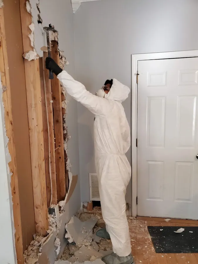 Flood Damage Cleanup in Cambria, PA